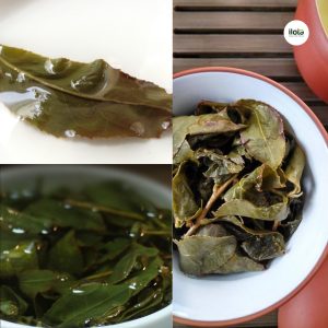 ky-thuat-lam-xanh-tra-o-long