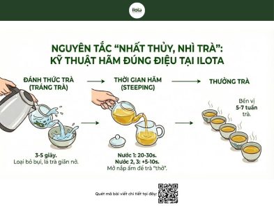 cac-loai-tra-nen-uong-vao-ngay-tet