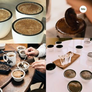 ky-thuat-pha-mang-trong-thu-nem-ca-phe