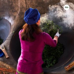 ky-thuat-danh-huong-tra