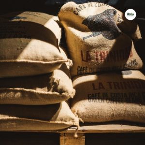 tai-sao-ca-phe-dac-san-lai-dat