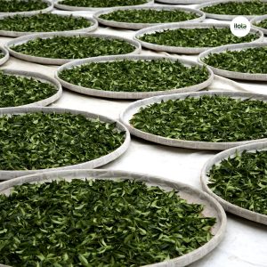 quy-trinh-lam-heo-tra