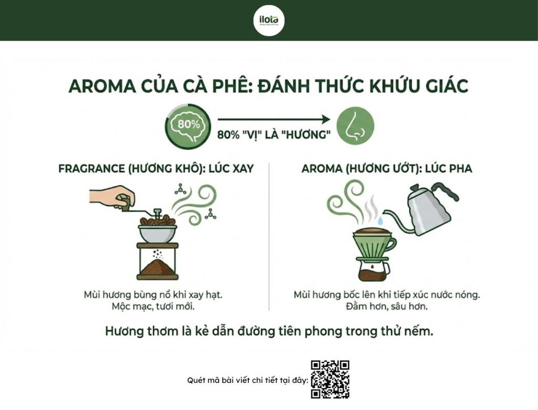 thuat-ngu-thu-nem-ca-phe