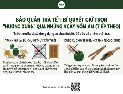 cac-loai-tra-nen-uong-vao-ngay-tet