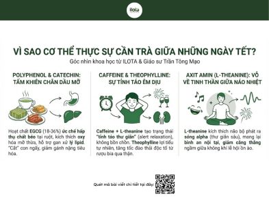 cac-loai-tra-nen-uong- vao-ngay-tet