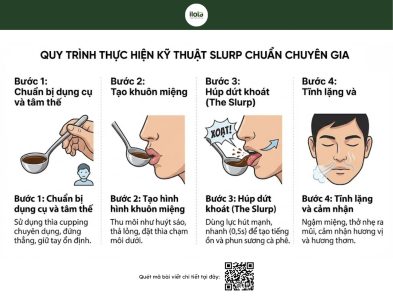 tai-sao-phai-hup-khi-thu-nem-ca-phe