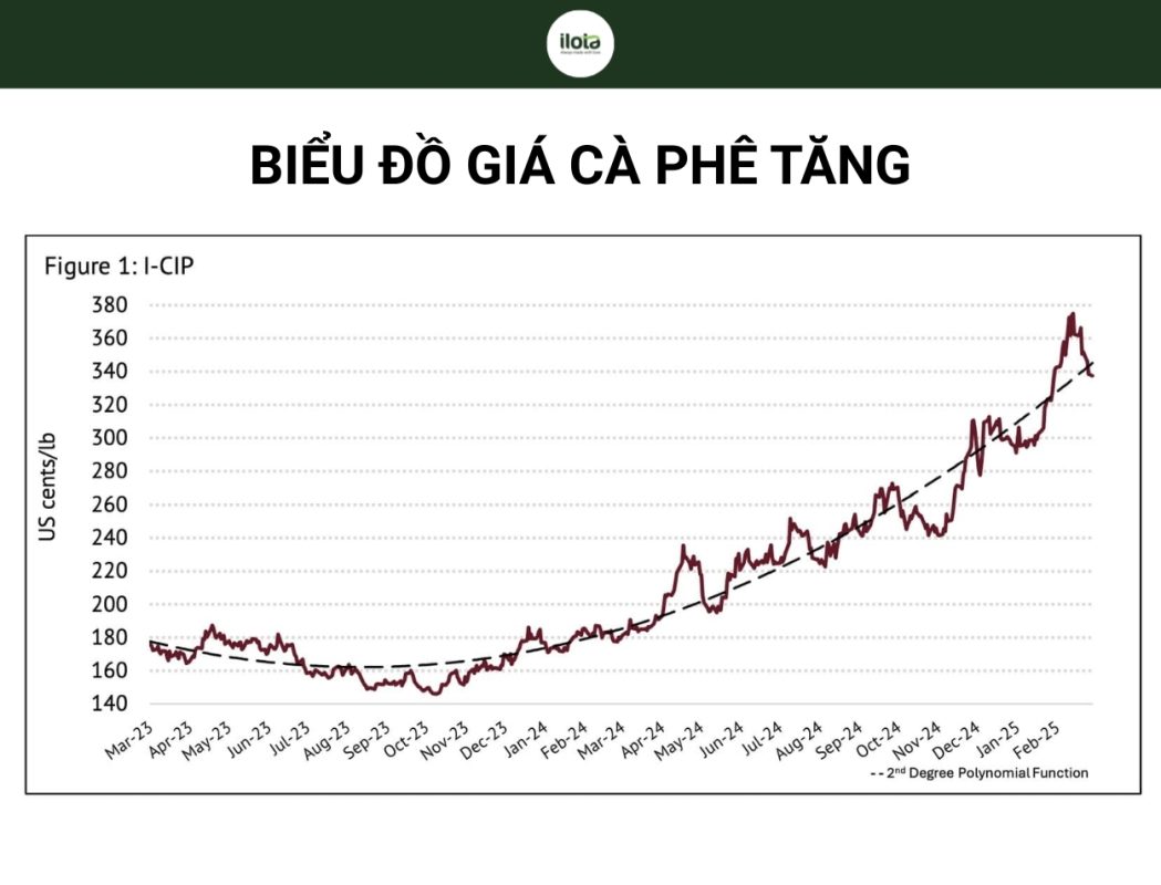 gia-ca-phe