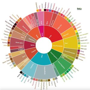 thuat-ngu-thu-nem-ca-phe