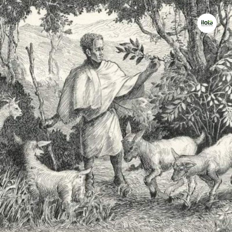 nghi-le-ca-phe-buna