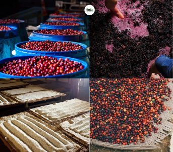 che-bien-ca-phe-co-dai-va-hien-dai