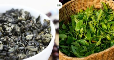 tra-bich-loa-xuan-la-gi