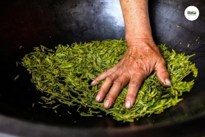 so-sanh-tra-xanh-sao-may-va-sao-tay