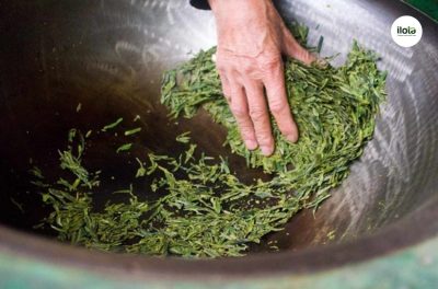 cam-lua-bang-tay-tran