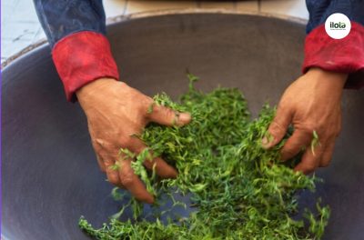 cam-lua-bang-tay-tran