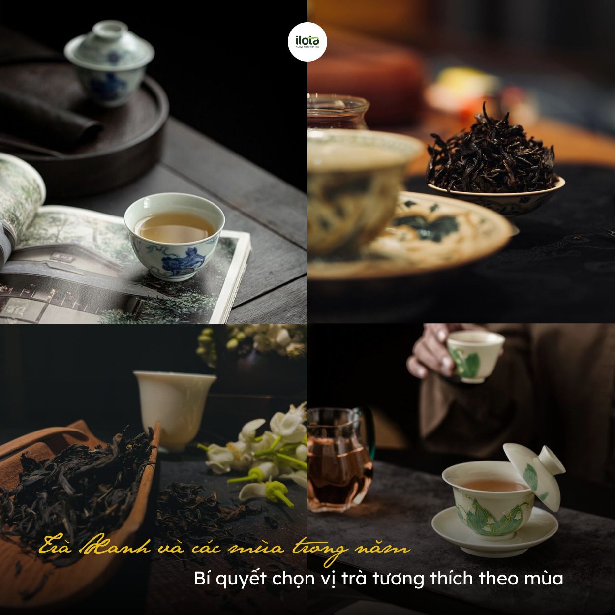 tra-xanh-va-cac-mua-trong-nam