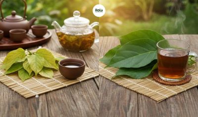 van-hoa-uong-tra-voi