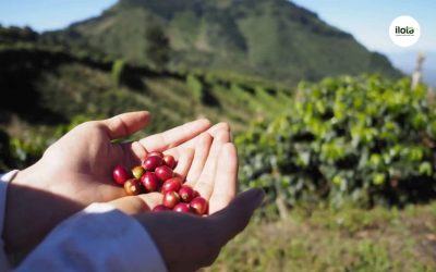 vung-trong-nicaragua