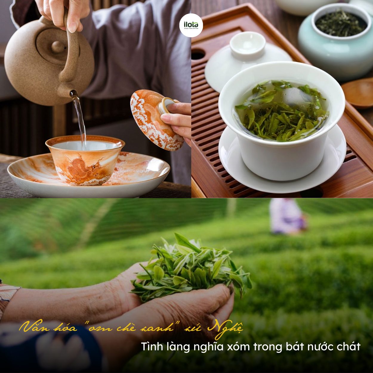 van-hoa-om-che-xanh-xu-nghe