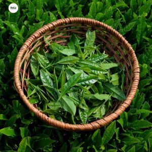 nghe-thuat-uop-tra-hoa-truyen-thong