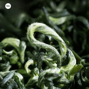 tra-bich-loa-xuan-la-gi