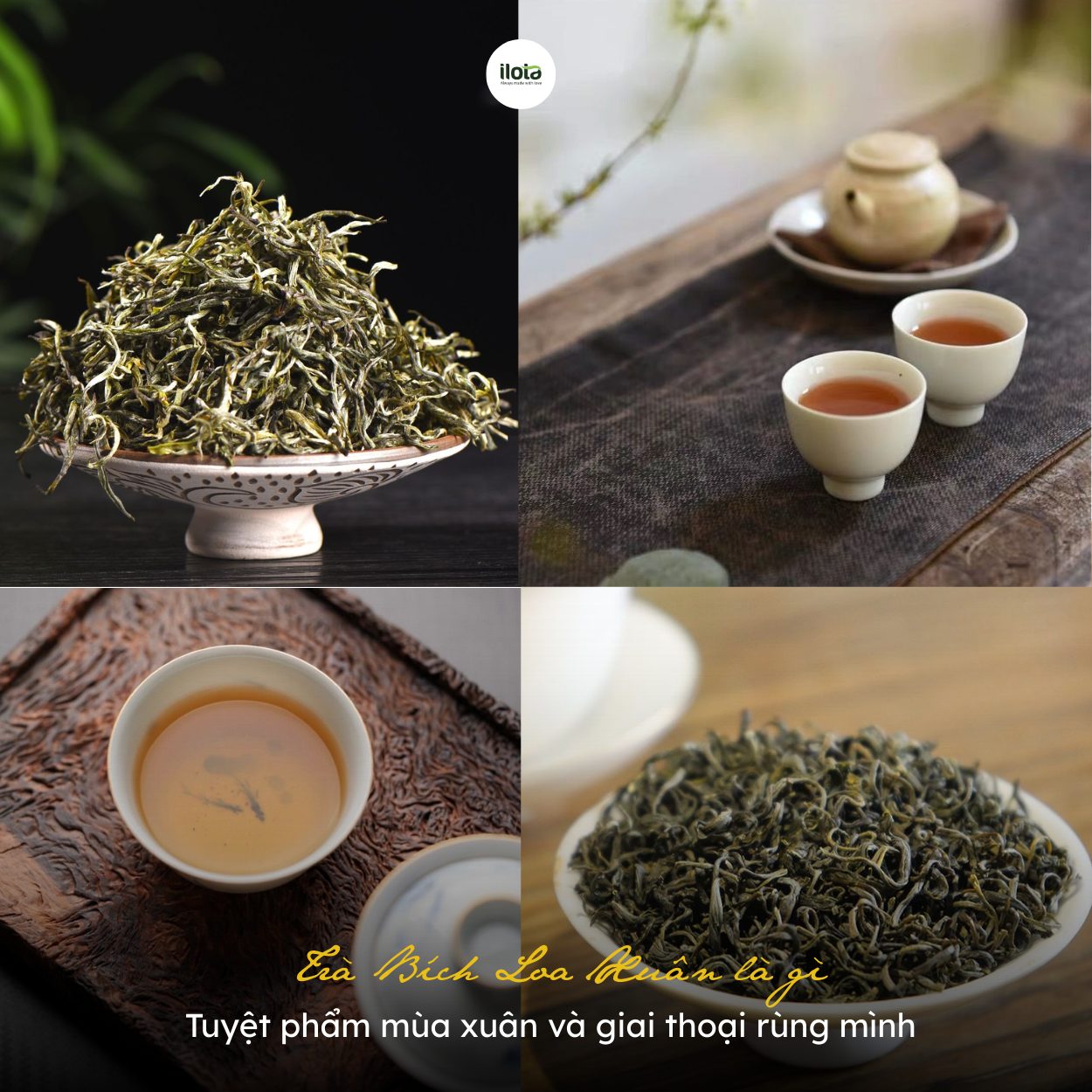 tra-bich-loa-xuan-la-gi