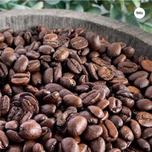 vung-trong-nicaragua