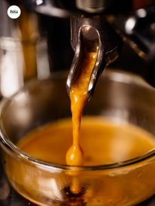 bieu-hien-chiet-xuat-qua-muc