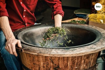 so-sanh-tra-xanh-sao-may-va-sao-tay