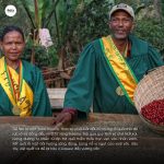arabica-ethiopia-bona-zuria-bare