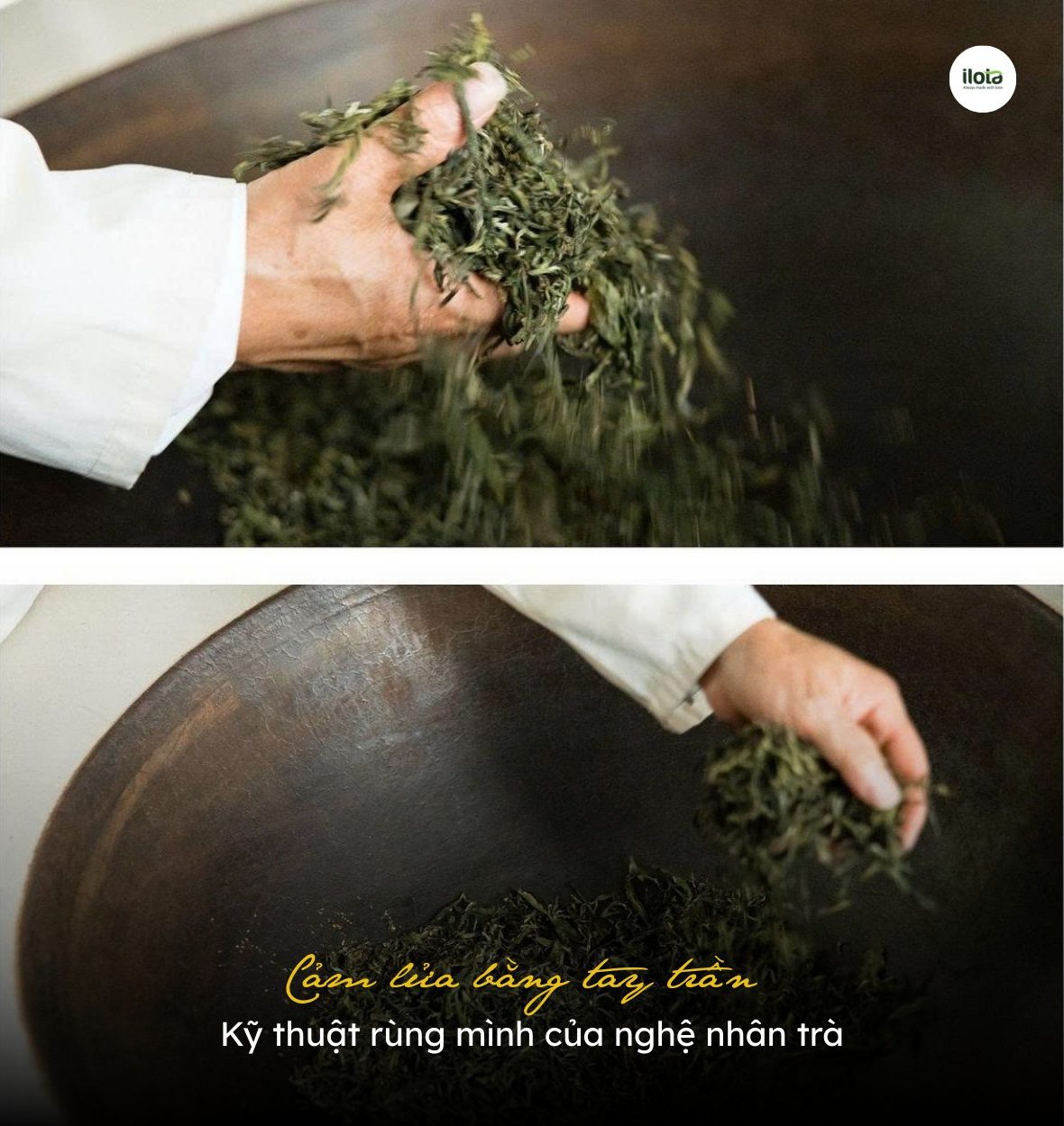 cam-lua-bang-tay-tran