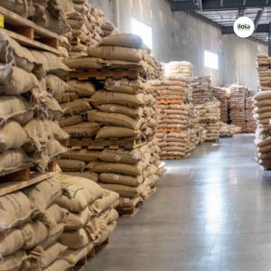 tai-sao-ca-phe-dac-san-lai-dat