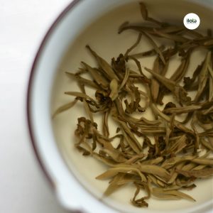 ky-thuat-danh-huong-tra