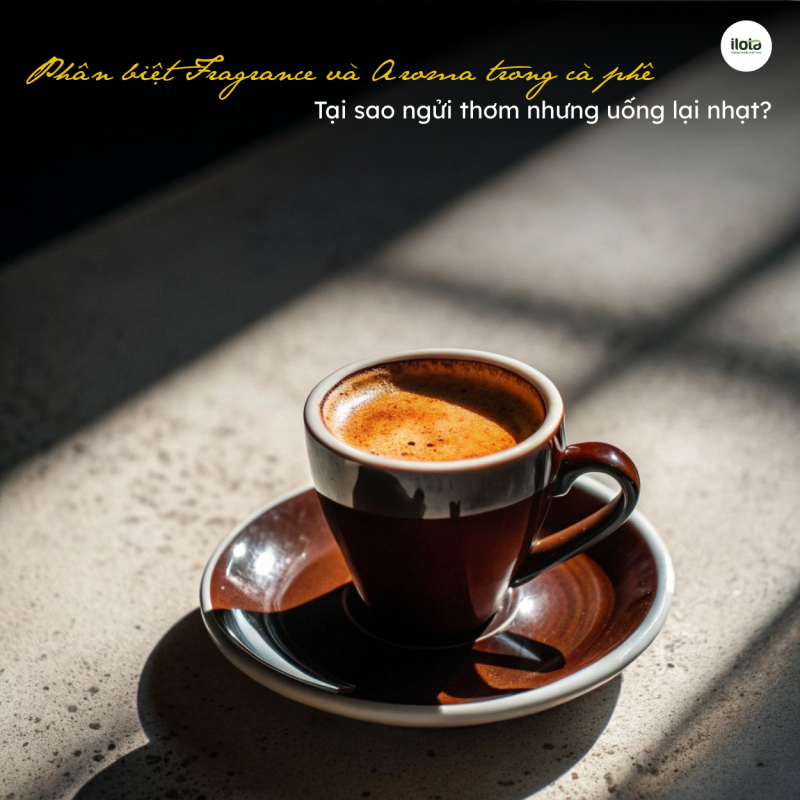 phan-biet-fragrance-va-aroma