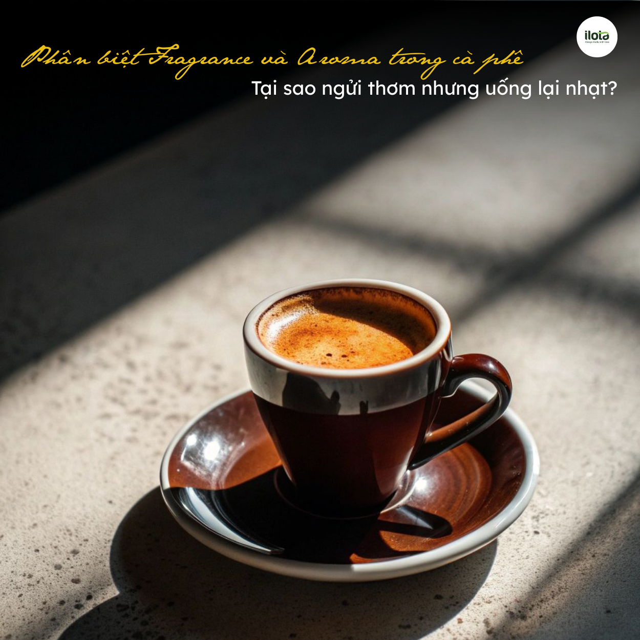 phan-biet-fragrance-va-aroma