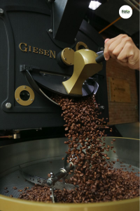 truong-phai-rang-bac-au-la-gi