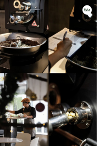 truong-phai-rang-bac-au-la-gi