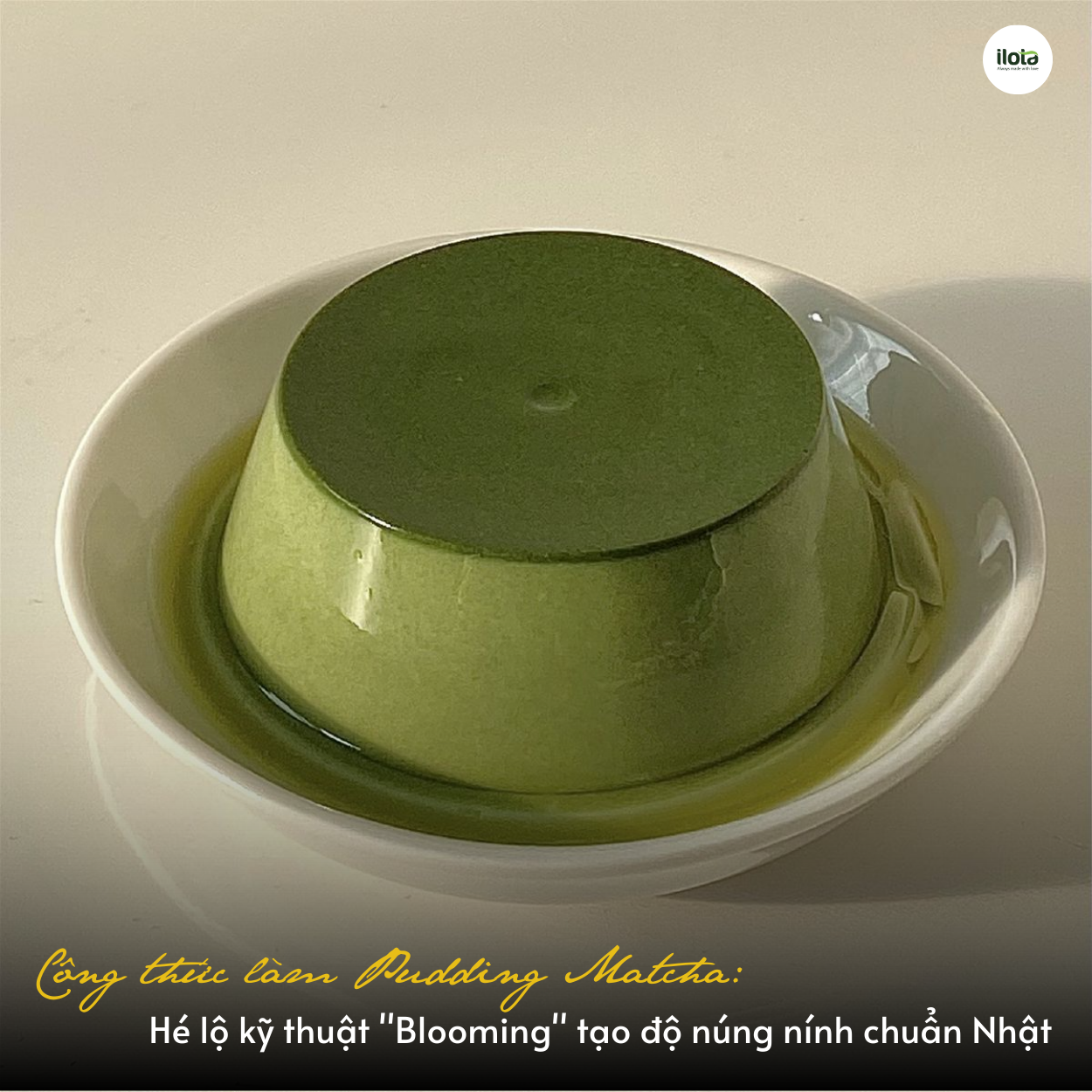 cong-thuc-lam-pudding-matcha