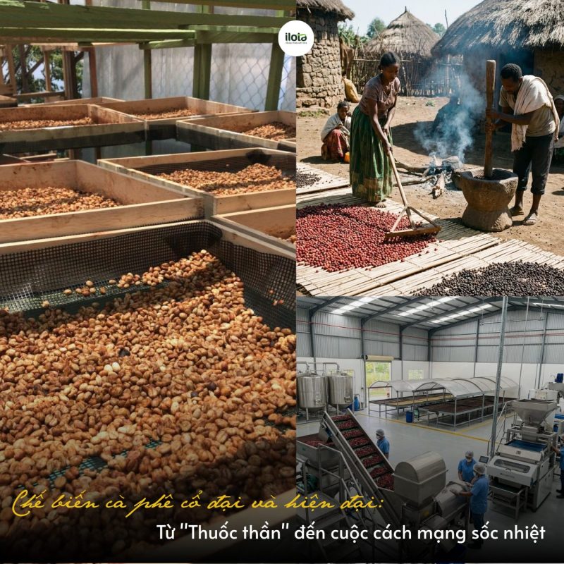 che-bien-ca-phe-co-dai-va-hien-dai