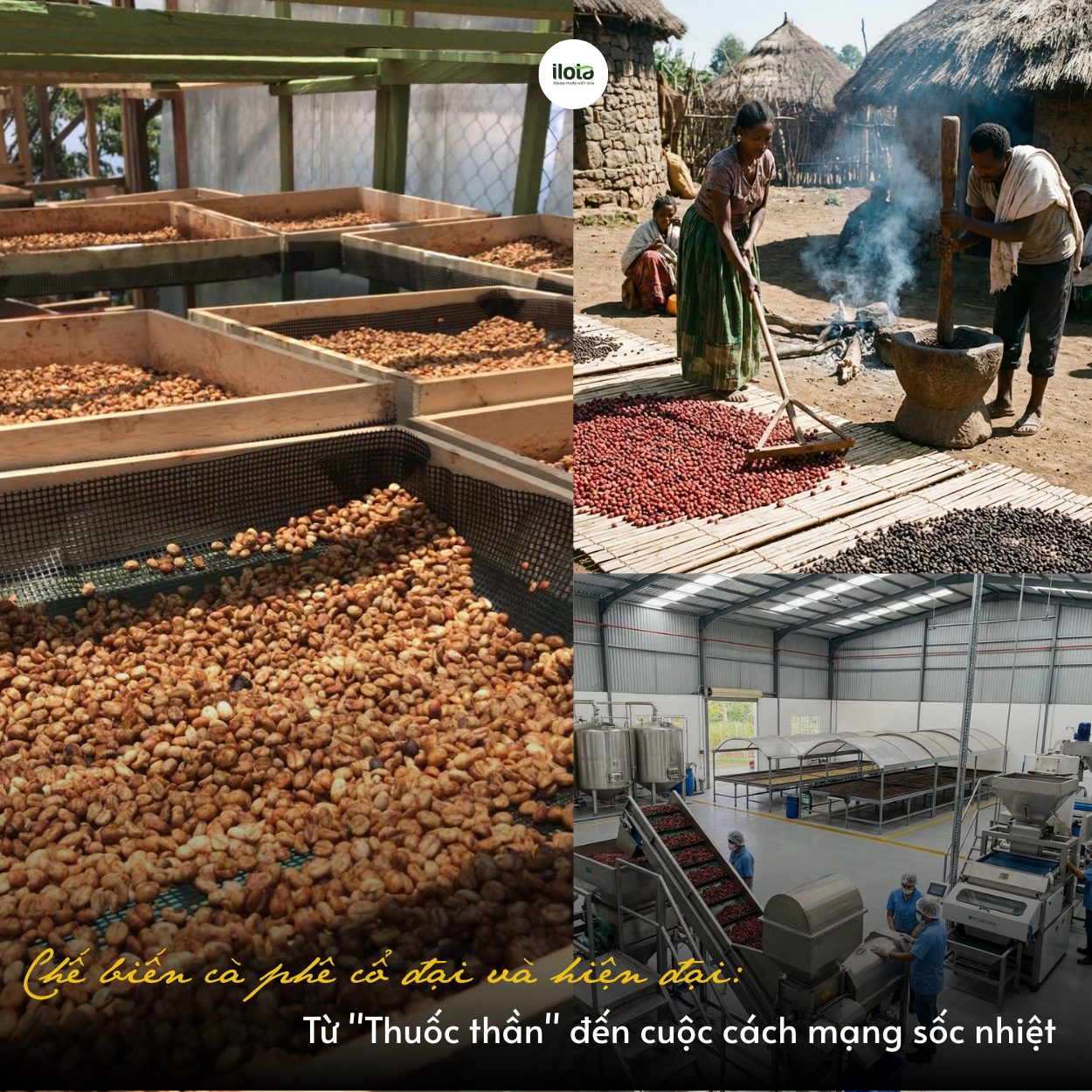 che-bien-ca-phe-co-dai-va-hien-dai