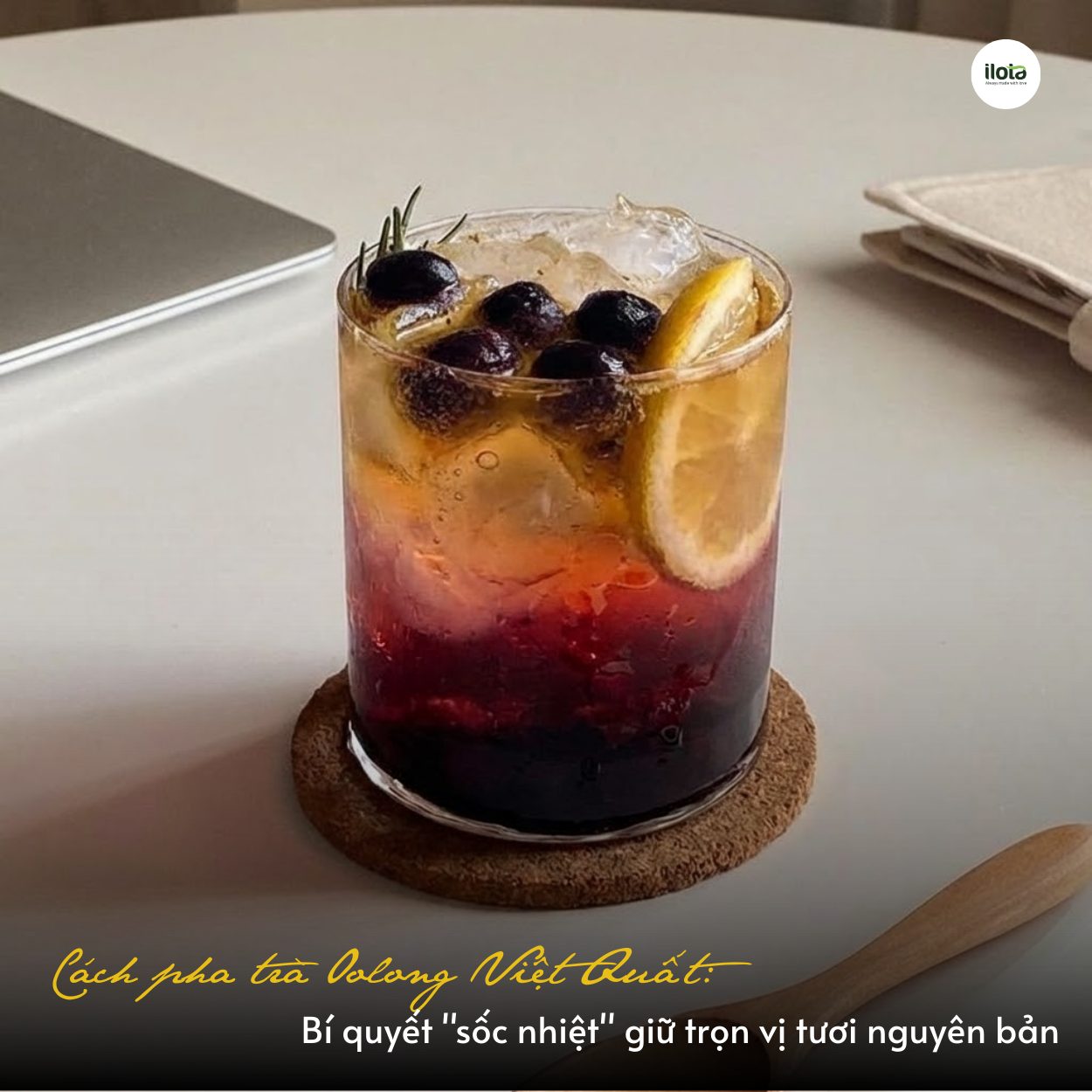 cach-pha-tra-oolong-viet-quat