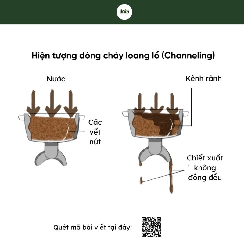 bieu-hien-chiet-xuat-qua-muc