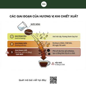 bieu-hien-chiet-xuat-qua-muc