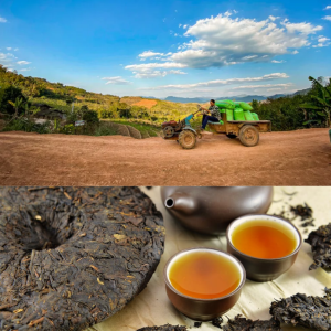 ky-thuat-len-men-tra-ca-phe-dac-san-trung-quoc