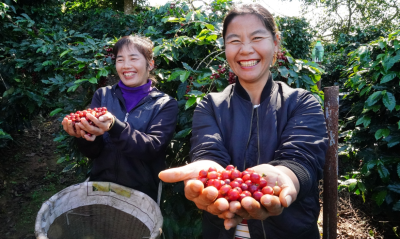 ky-thuat-len-men-tra-ca-phe-dac-san-trung-quoc