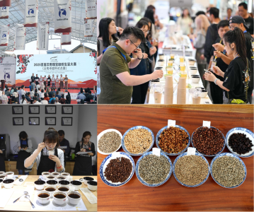 ky-thuat-len-men-tra-ca-phe-dac-san-trung-quoc