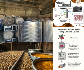 ky-thuat-len-men-tra-ca-phe-dac-san-trung-quoc