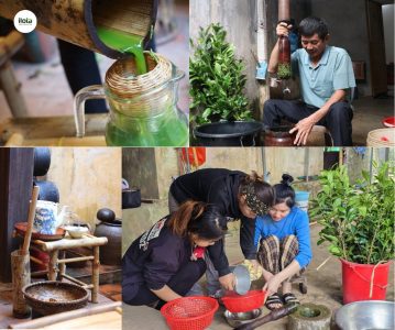 che-xanh-viet-nam-va-am-che-tich-can-gin-giu