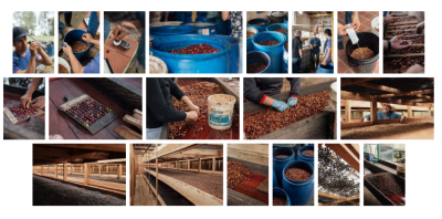 ky-thuat-ngam-lanh-ca-phe-huong-vi-sieu-sach-2026