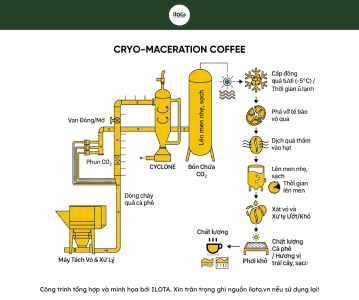 ky-thuat-ngam-lanh-ca-phe-huong-vi-sieu-sach-2026