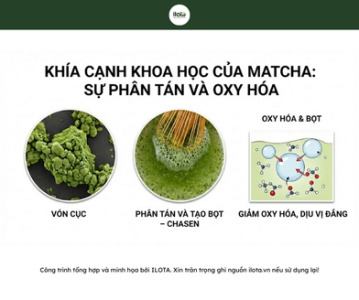 dung-cu-pha-matcha-tai-nha-bang-khoa-hoc
